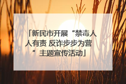 新民市开展“禁毒人人有责 反诈步步为营”主题宣传活动