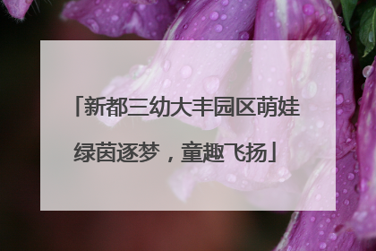 新都三幼大丰园区萌娃绿茵逐梦，童趣飞扬