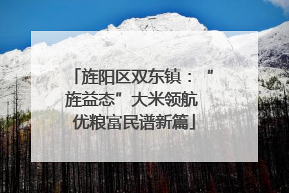 旌阳区双东镇：“旌益态”大米领航 优粮富民谱新篇