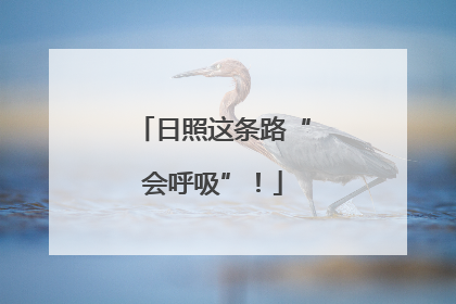 日照这条路“会呼吸”！