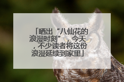 晒出“八仙花的浪漫时刻”，今天，不少读者将这份浪漫延续到家里