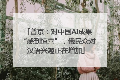 普京：对中国AI成果“感到惊喜”，俄民众对汉语兴趣正在增加