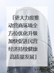 更大力度推动营商环境全方位优化升级加快促进民营经济持续健康高质量发展