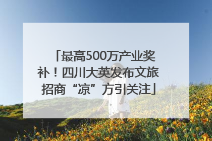 最高500万产业奖补！四川大英发布文旅招商“凉”方引关注