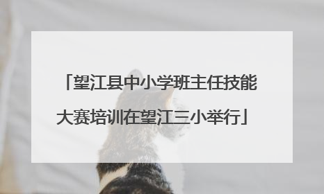 望江县中小学班主任技能大赛培训在望江三小举行