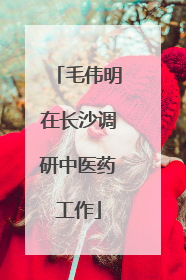 毛伟明在长沙调研中医药工作