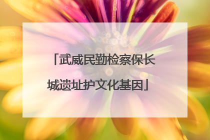 武威民勤检察保长城遗址护文化基因