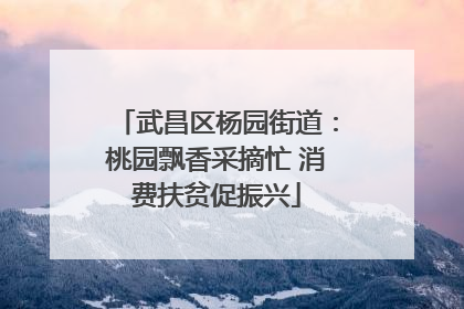 武昌区杨园街道：桃园飘香采摘忙 消费扶贫促振兴