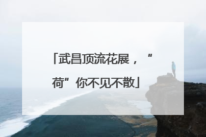 武昌顶流花展，“荷”你不见不散