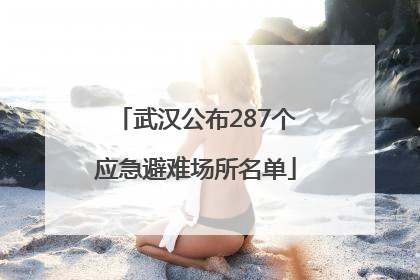 武汉公布287个应急避难场所名单