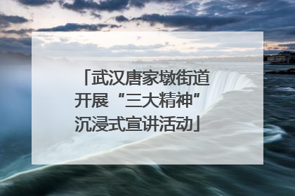 武汉唐家墩街道开展“三大精神”沉浸式宣讲活动