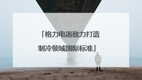 格力电器致力打造制冷领域国际标准