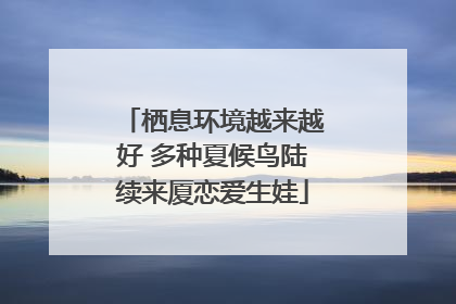 栖息环境越来越好 多种夏候鸟陆续来厦恋爱生娃