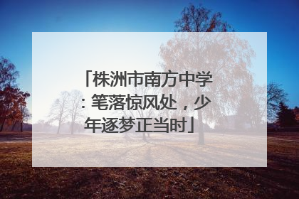 株洲市南方中学：笔落惊风处，少年逐梦正当时