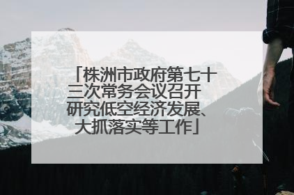 株洲市政府第七十三次常务会议召开 研究低空经济发展、大抓落实等工作