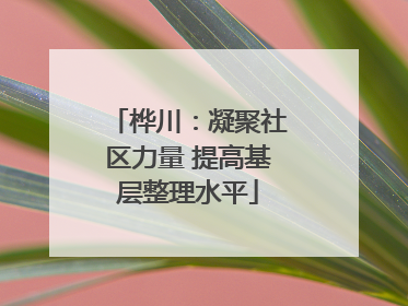 桦川：凝聚社区力量 提高基层整理水平