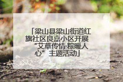 梁山县梁山街道红旗社区良嘉小区开展“艾草传情·粽暖人心”主题活动