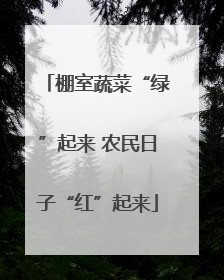 棚室蔬菜“绿”起来 农民日子“红”起来