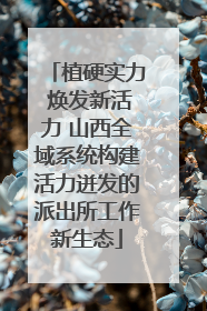 植硬实力 焕发新活力 山西全域系统构建活力迸发的派出所工作新生态