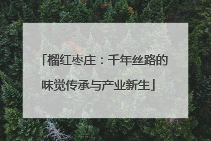 榴红枣庄：千年丝路的味觉传承与产业新生