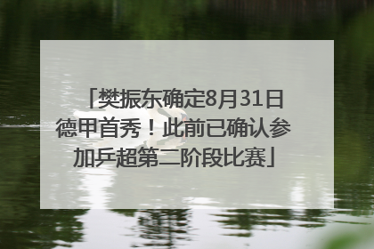 樊振东确定8月31日德甲首秀！此前已确认参加乒超第二阶段比赛