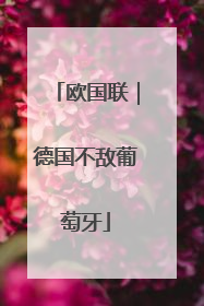 欧国联｜德国不敌葡萄牙