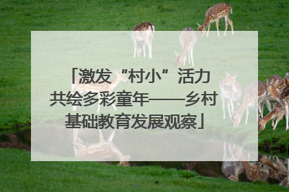 激发“村小”活力 共绘多彩童年——乡村基础教育发展观察