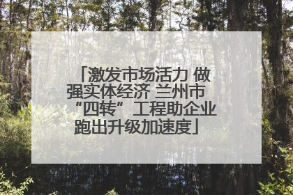激发市场活力 做强实体经济 兰州市“四转”工程助企业跑出升级加速度