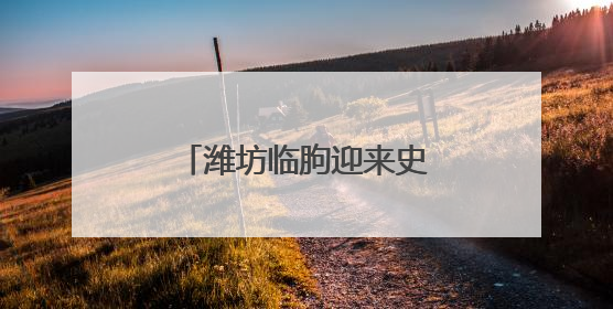 潍坊临朐迎来史上最大规模法国祖代朗德鹅种苗
