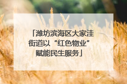 潍坊滨海区大家洼街道以“红色物业”赋能民生服务