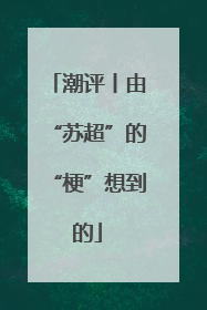 潮评丨由“苏超”的“梗”想到的