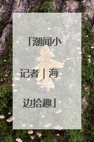 潮闻小记者｜海边拾趣