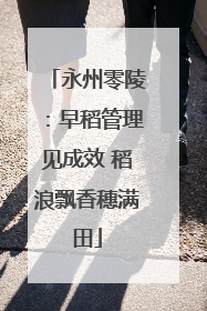 永州零陵：早稻管理见成效 稻浪飘香穗满田