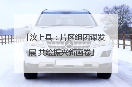 汶上县：片区组团谋发展 共绘振兴新画卷