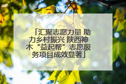 汇聚志愿力量 助力乡村振兴 陕西神木“益起帮”志愿服务项目成效显著