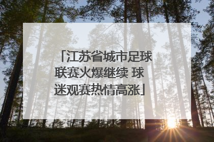 江苏省城市足球联赛火爆继续 球迷观赛热情高涨
