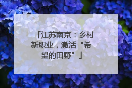 江苏南京：乡村新职业，激活“希望的田野”