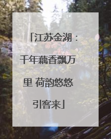 江苏金湖：千年藕香飘万里 荷韵悠悠引客来
