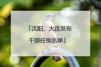 沈阳、大连发布干部任免名单