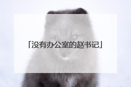 没有办公室的赵书记