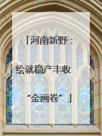 河南新野：绘就稳产丰收“金画卷”