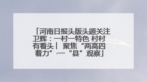 河南日报头版头题关注卫辉：一村一特色 村村有看头 ︳聚焦“两高四着力”·一“县”观察