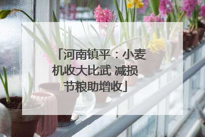 河南镇平：小麦机收大比武 减损节粮助增收