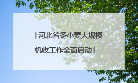 河北省冬小麦大规模机收工作全面启动