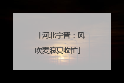 河北宁晋：风吹麦浪夏收忙