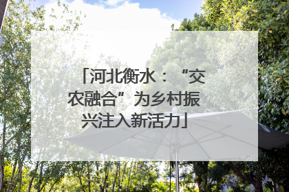河北衡水：“交农融合”为乡村振兴注入新活力