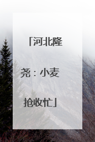 河北隆尧：小麦抢收忙