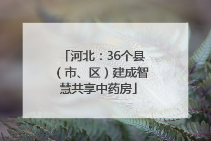 河北：36个县（市、区）建成智慧共享中药房