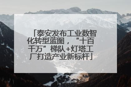 泰安发布工业数智化转型蓝图，“十百千万”梯队+灯塔工厂打造产业新标杆
