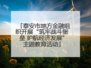 泰安市地方金融组织开展“筑牢战斗堡垒 护航经济发展”主题教育活动